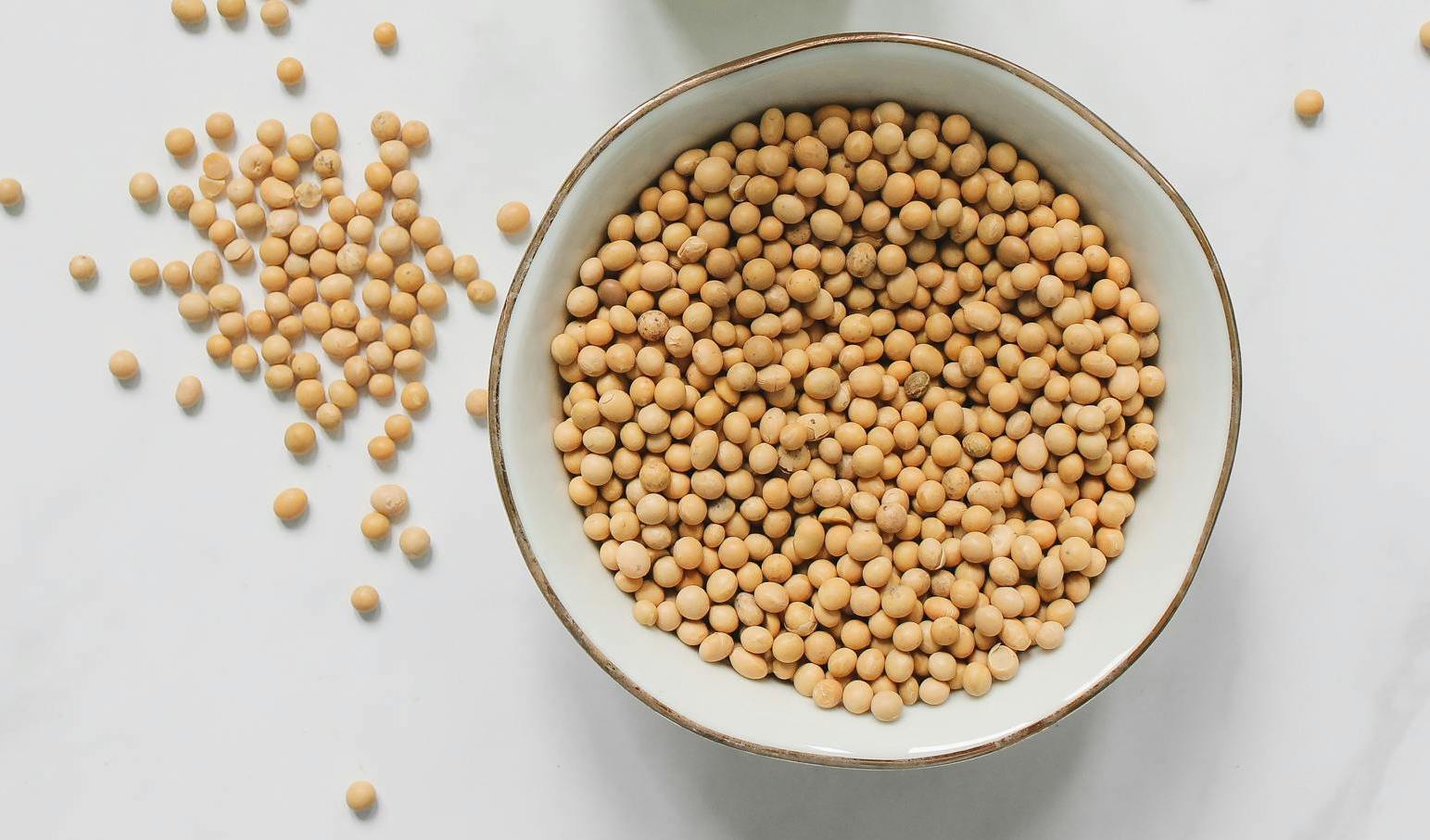 Bowl of dried soybeans with loose dried beans spread around it on a marble countertop